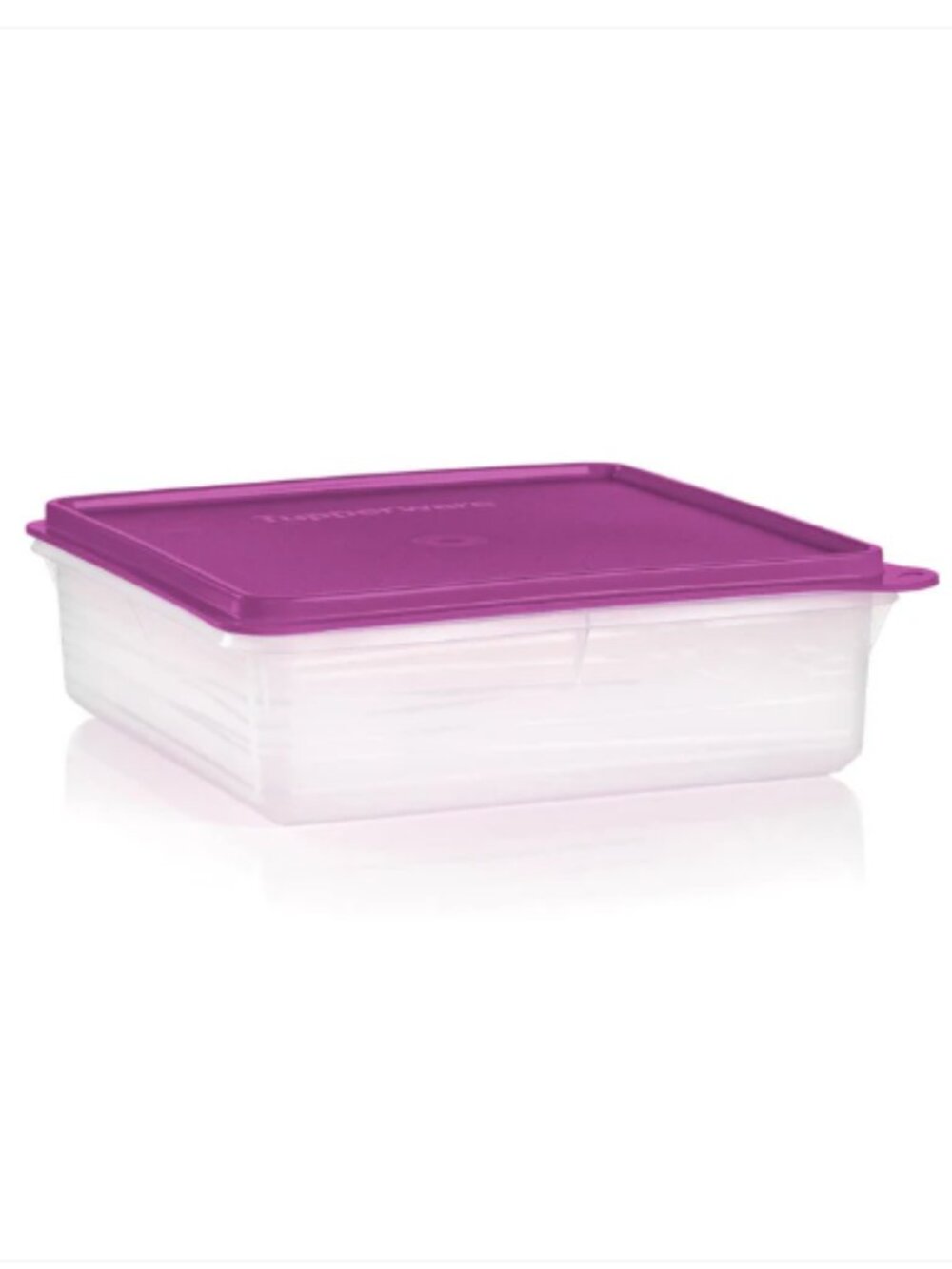 Tupperware Snack-Stor